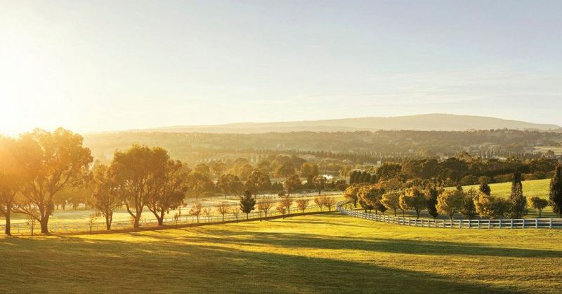 Rolling green farmland and white post-and-rail fencing in the countryside surrounding Wallan, lit by golden light